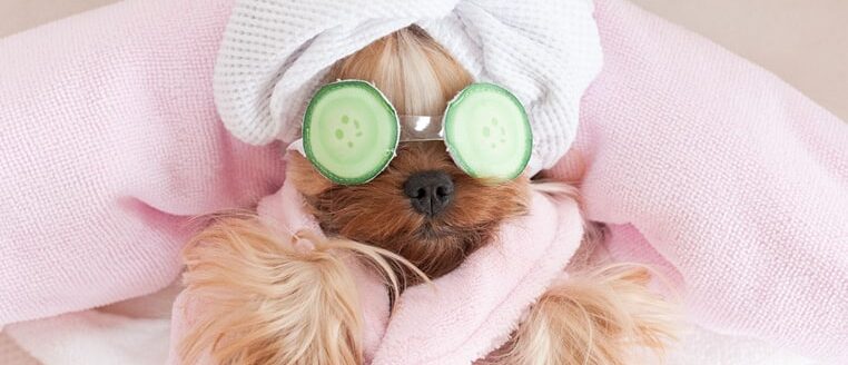 img-postgrid3 img-postgrid3